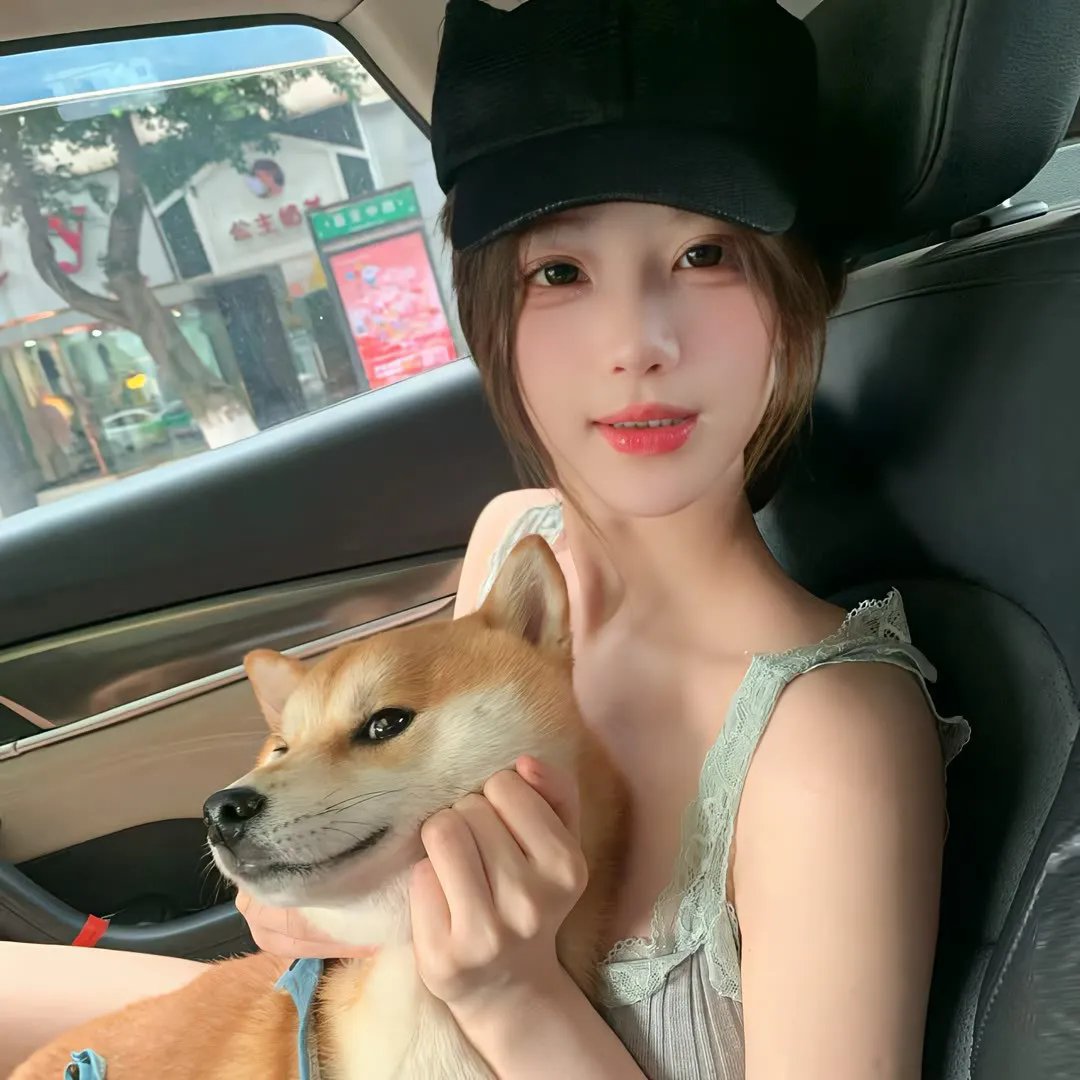 房子的故事